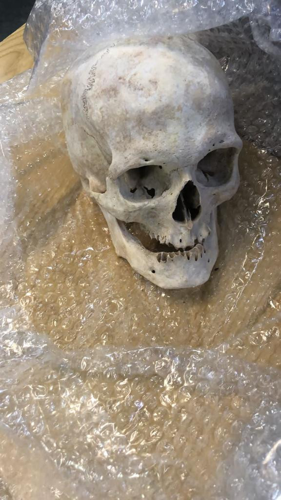 Aduana encontró una calavera en una encomienda postal que iba dirigida a Estados Unidos	