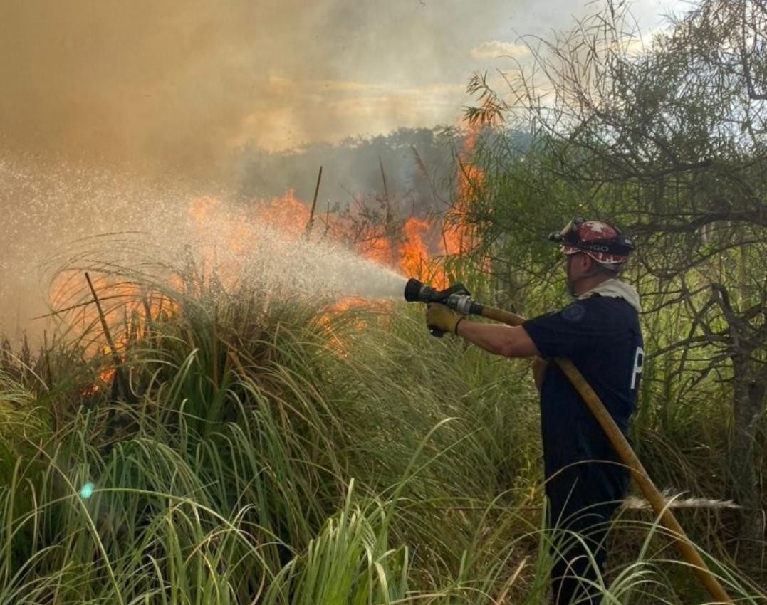 Incendio en Reserva Ecológica de Costanera Sur. Foto: NA.
