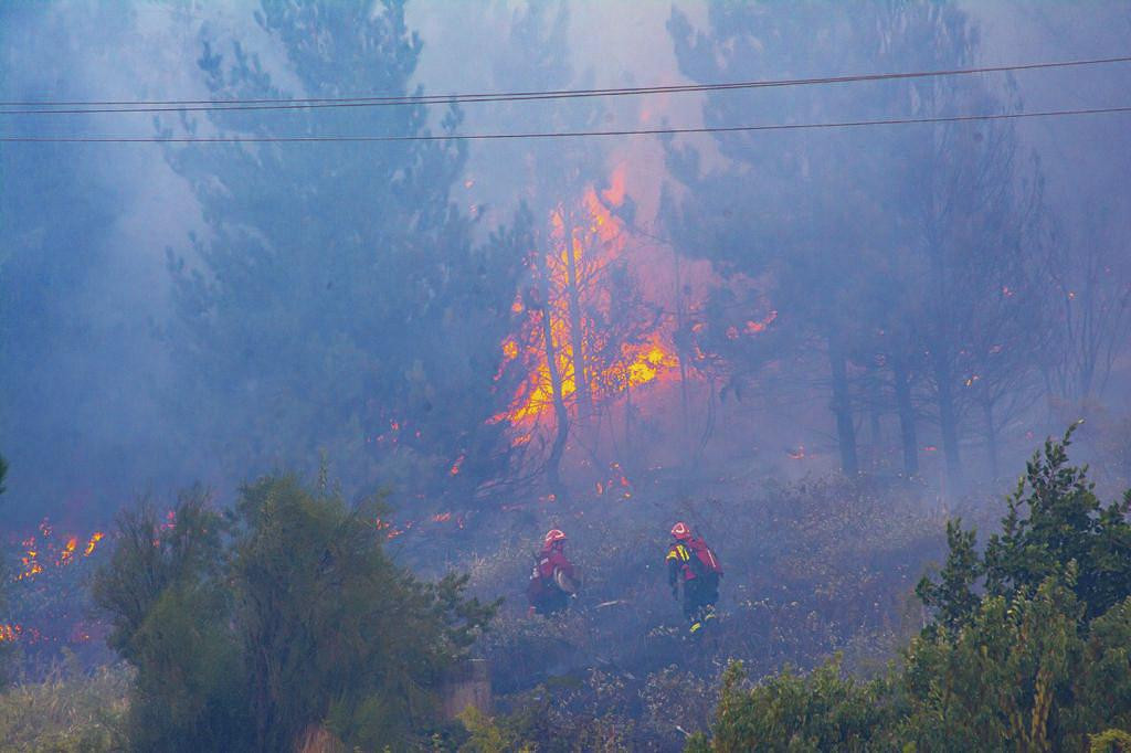 Incendios en El Hoyo. Foto: Télam.