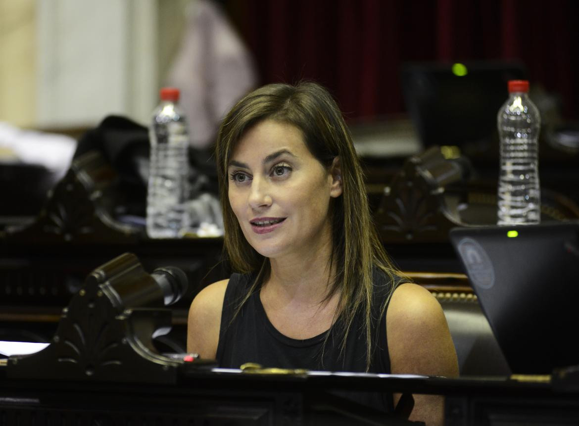 Vanesa Massetani, diputada. Foto: prensa Diputados