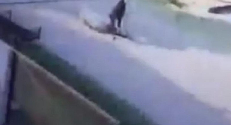 Policía atropelló a un perro en Esteban Echeverría. Foto: Captura de Video.