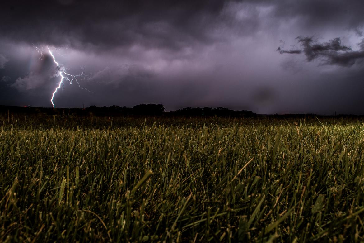 Lluvia; cultivo; sequía. Foto: Unsplash (Eugene Triguba)