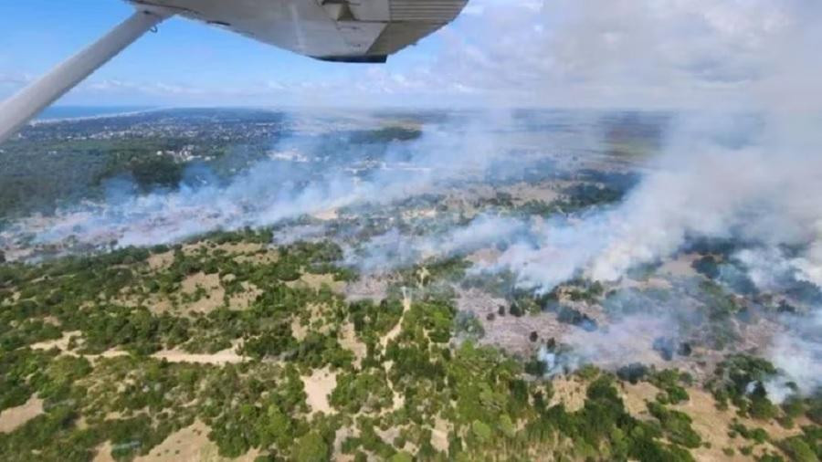 Impresionante incendio forestal al norte de Villa Gesell. Foto: minutog.com