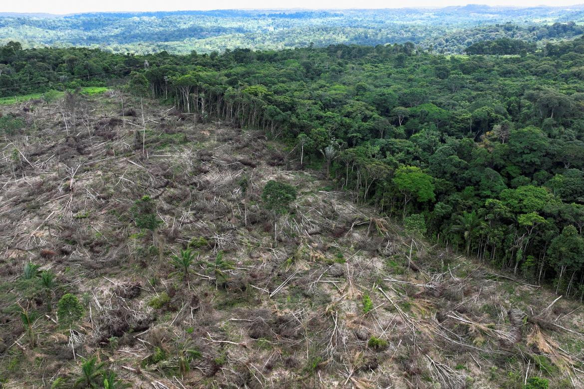 Deforestación en la Amazonia. Foto: Reuters