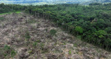 Deforestación en la Amazonia_Reuters