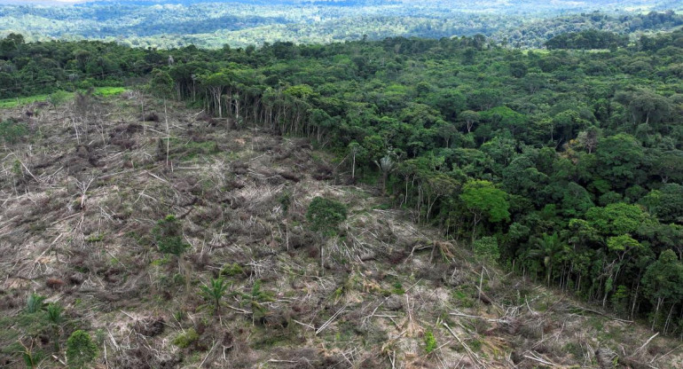 Deforestación en la Amazonia. Foto: Reuters
