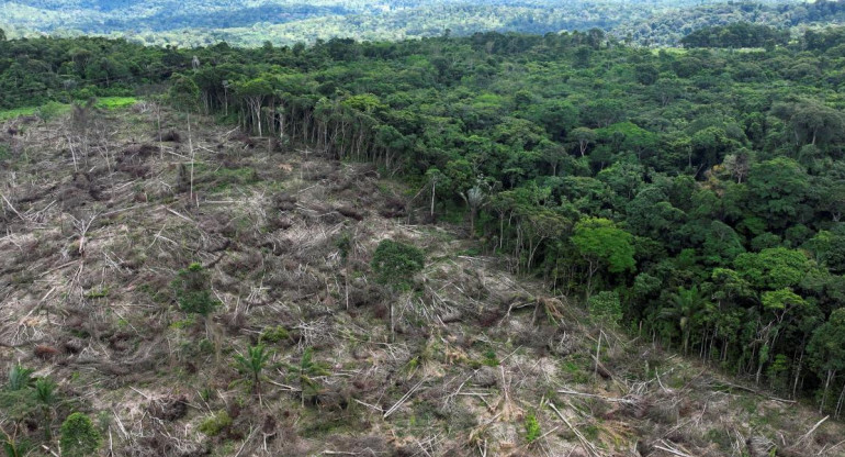 Deforestación en la Amazonia. Foto: Reuters