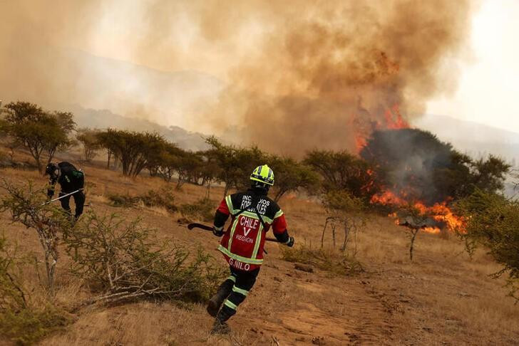 Incendios en Chile. Foto: REUTERS.