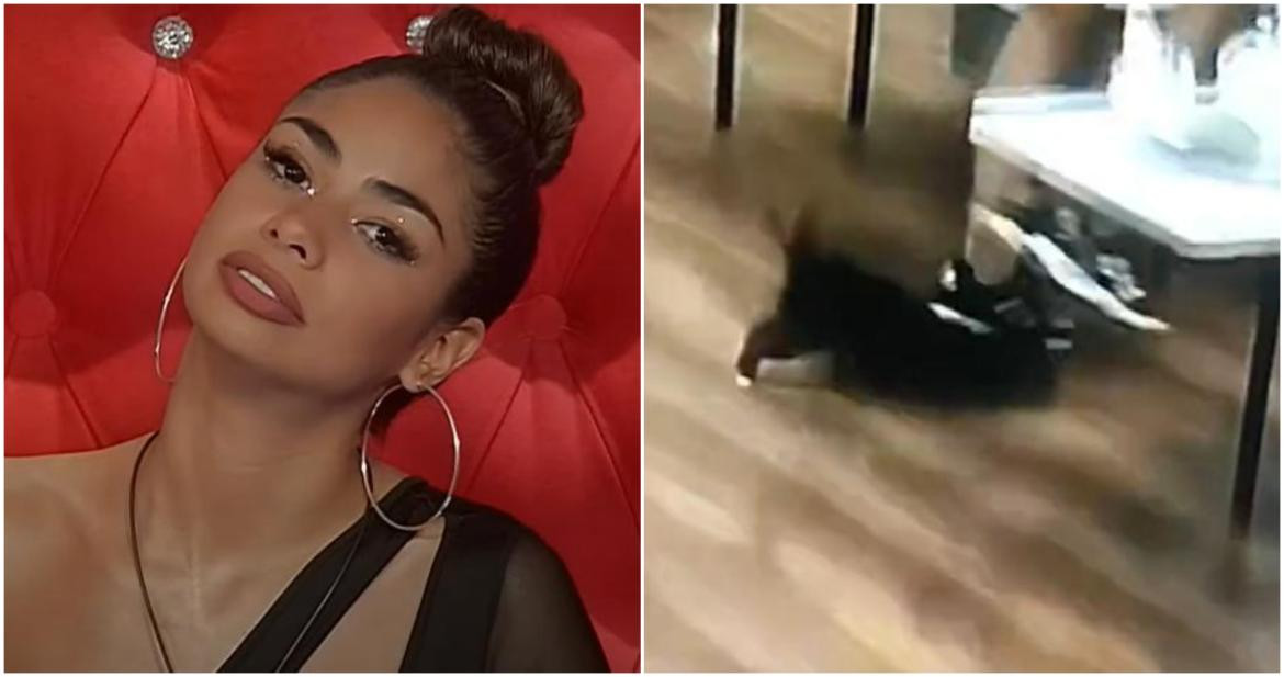 Daniela de Gran Hermano pateó al perrito. Fotos: captura Telefe.