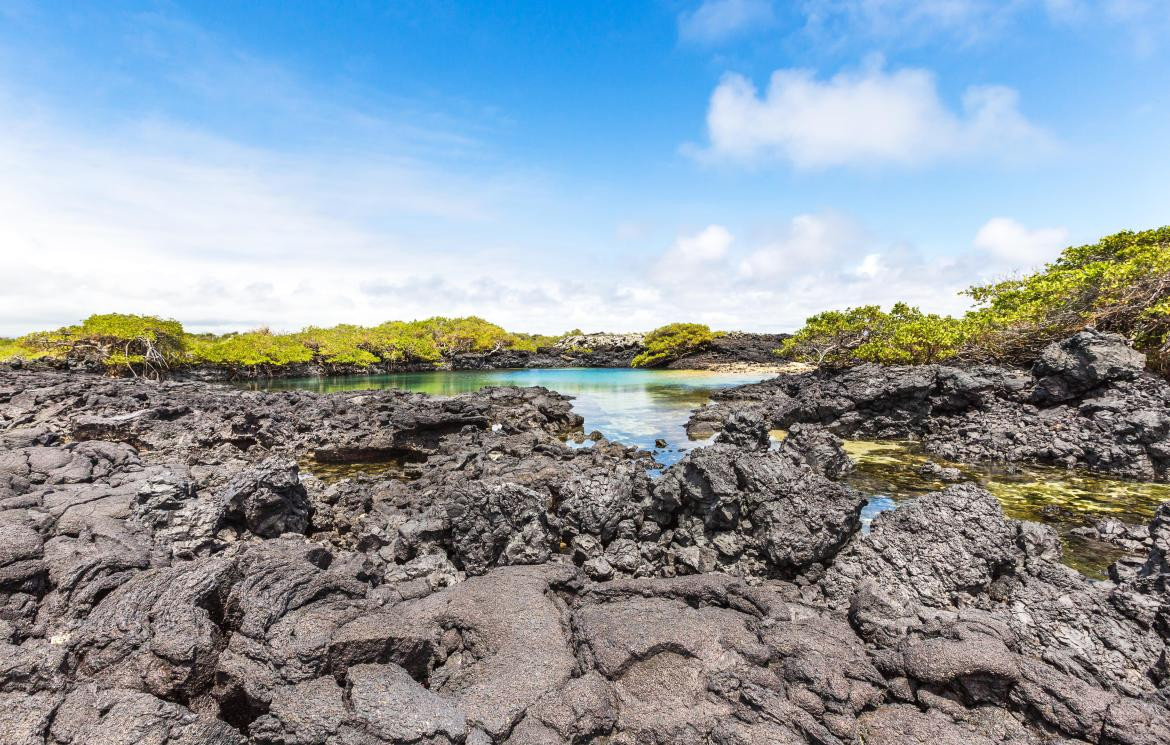 Galápagos fue declarado Patrimonio Natural de la Humanidad el 8 de septiembre de 1978 por el Comité de Patrimonios de la Unesco. Foto Alamy