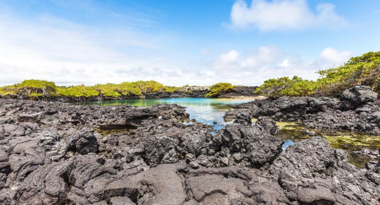 Galápagos fue declarado Patrimonio Natural de la Humanidad el 8 de septiembre de 1978 por el Comité de Patrimonios de la Unesco. Foto Alamy