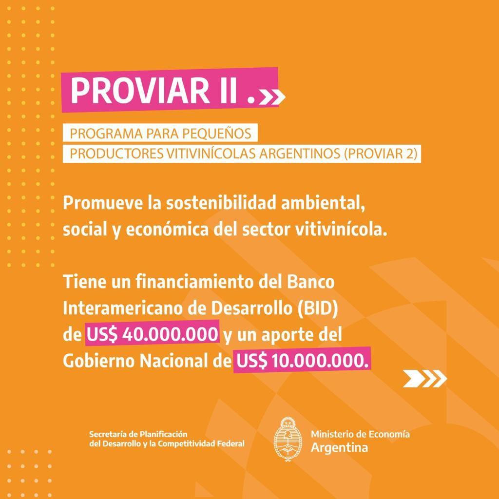 Medidas para favorecer el sector vitivinícola 4. Foto: Prensa.