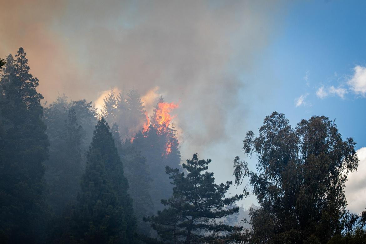 Incendio forestal e El Bolsón. Foto: Télam