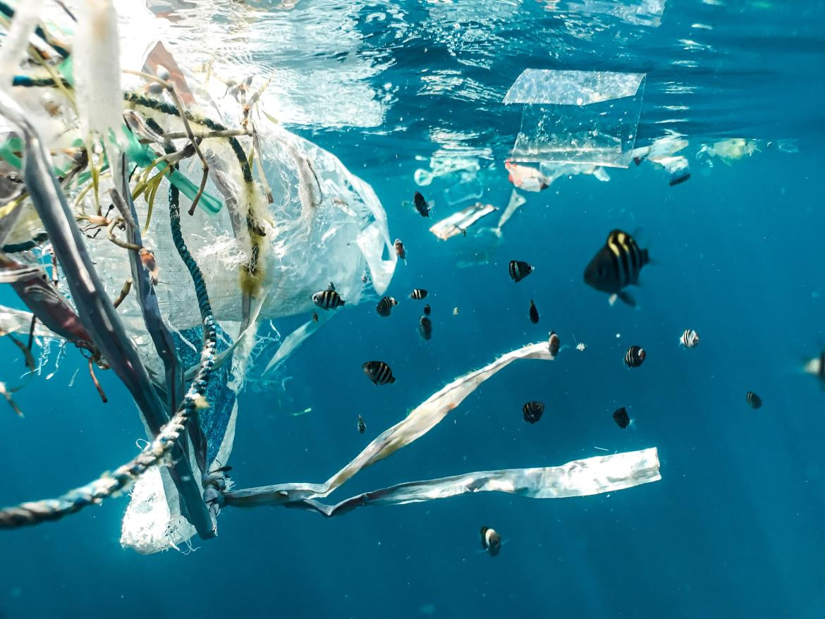 Advierten sobre un aumento "sin precedentes" de plástico en los océanos. Unsplash