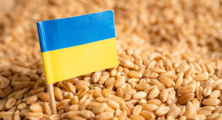 Ucrania, acuerdo de cereales. Foto: REUTERS
