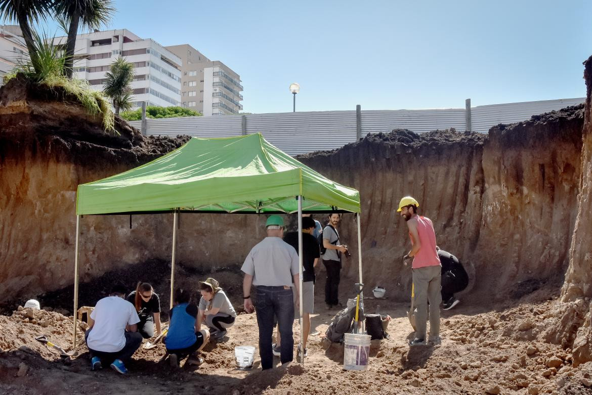 Restos de un gliptodonte en medio de una obra de estacionamiento subterráneo, Mar del Plata. Foto: La Capital