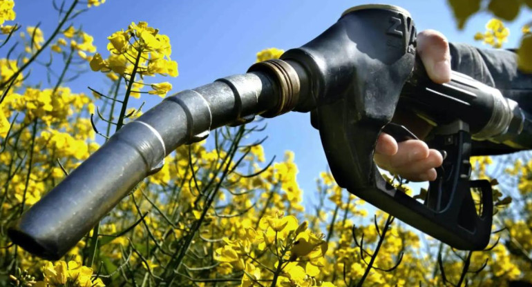 Biocarburantes. Foto: elespañol