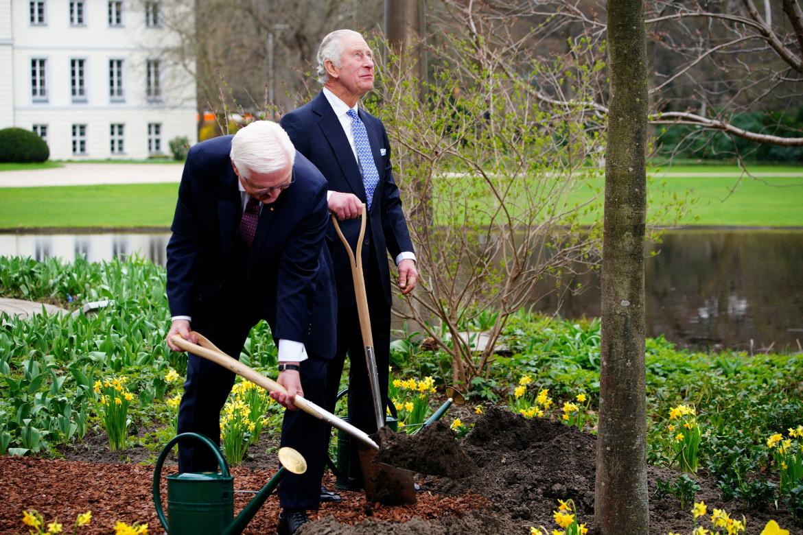 El Rey Carlos y Steinmeier plantan un árbol. Foto: Reuters. 