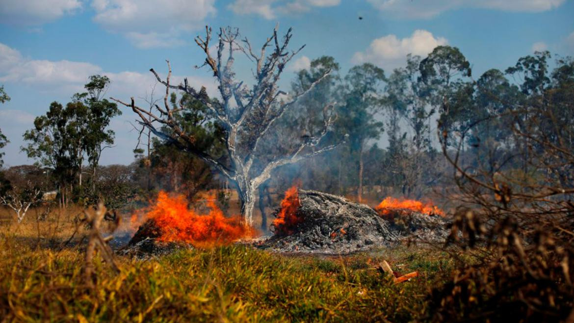 Devastación amazónica. Foto: Reuters