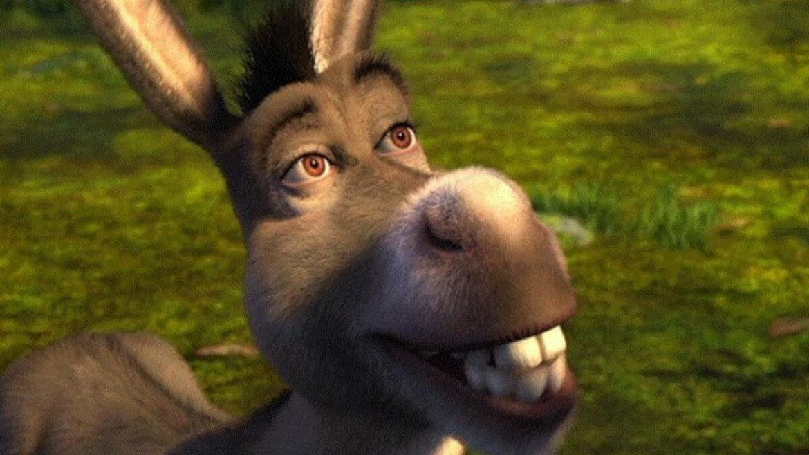 Burro de Shrek.