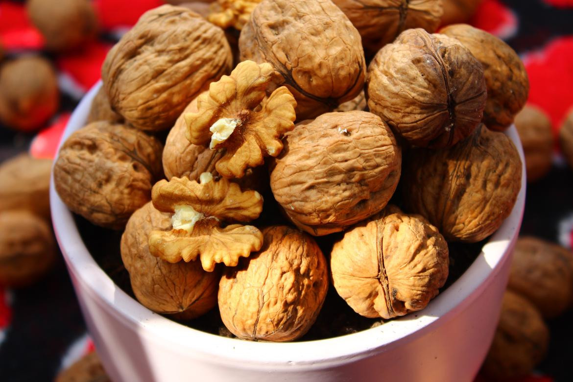 Nueces. Foto: Mustafa Akin, Unsplash