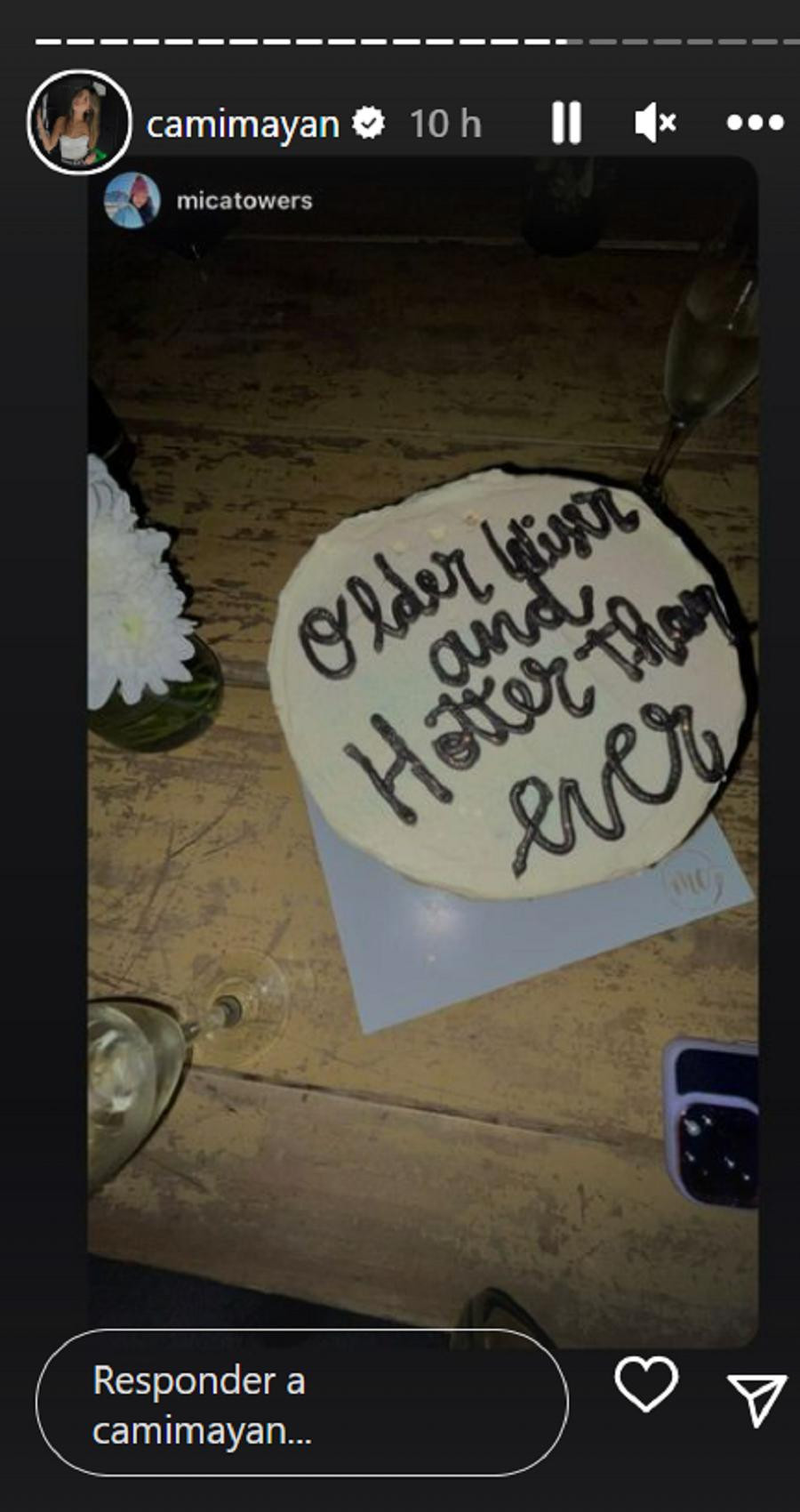 Polémica torta de Cami Mayan. Foto: Instagram.
