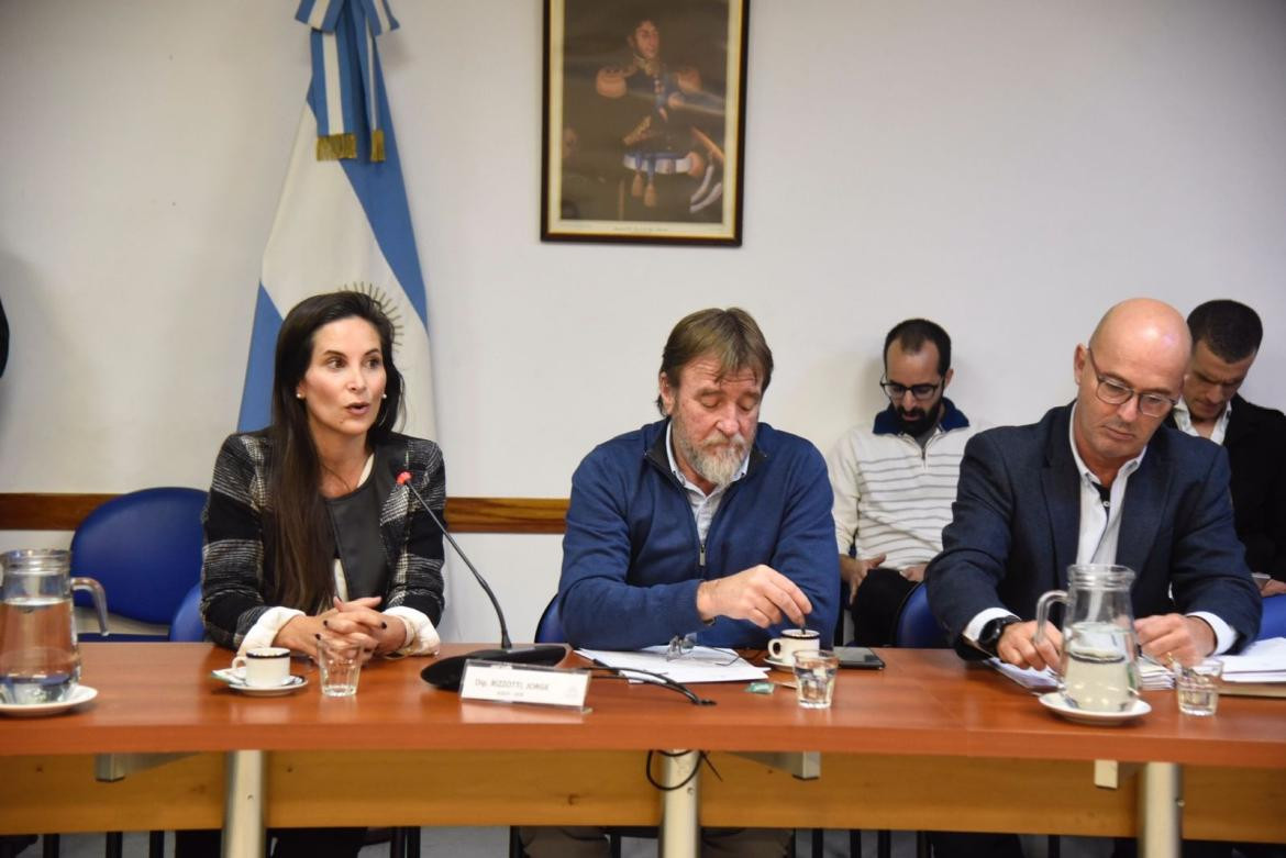 Diputados; Vehículos eléctricos a la Ley Nacional de Tránsito. Foto: Prensa Diputados.