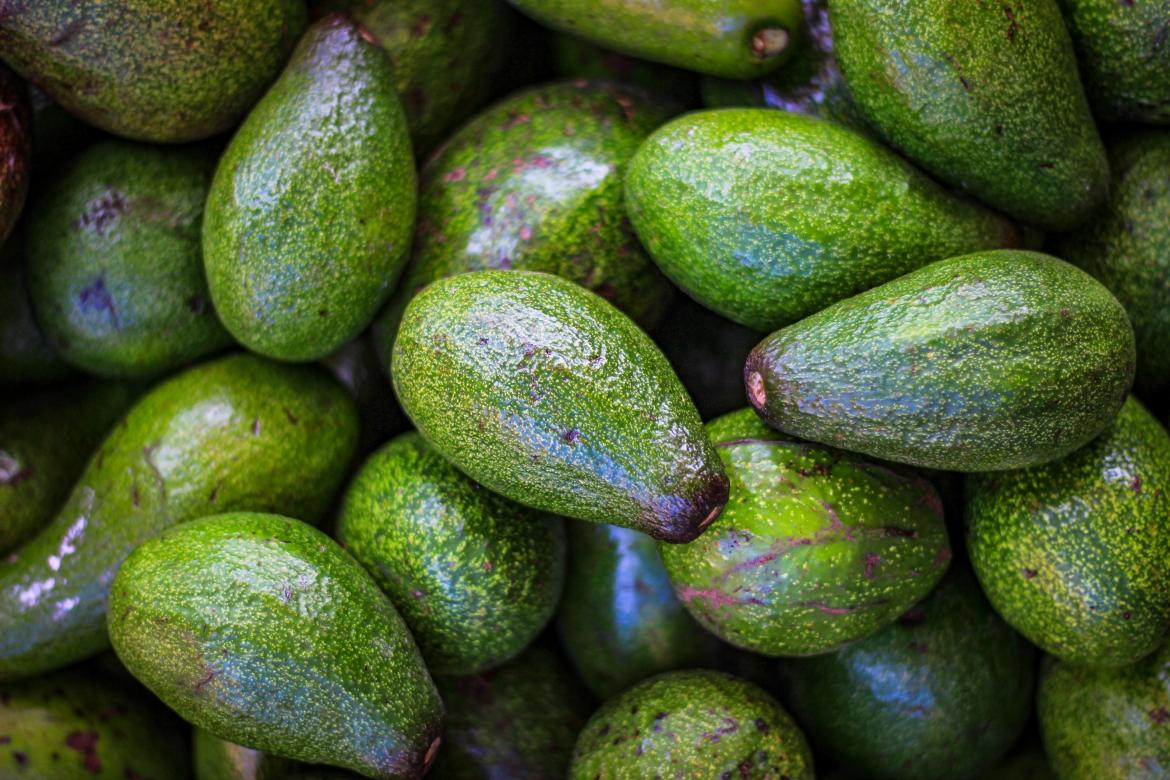 Palta. Unsplash