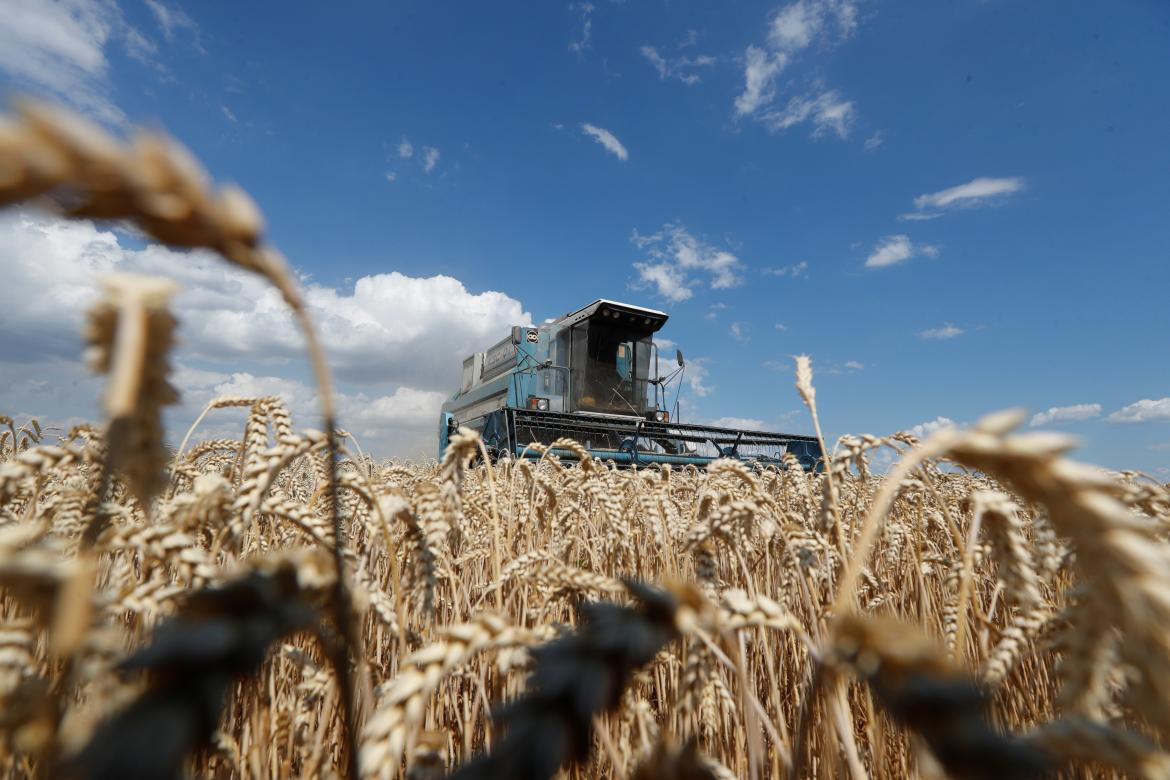Máquina cosechando trigo en un campo de Kiev, Ucrania. Foto: Reuters.