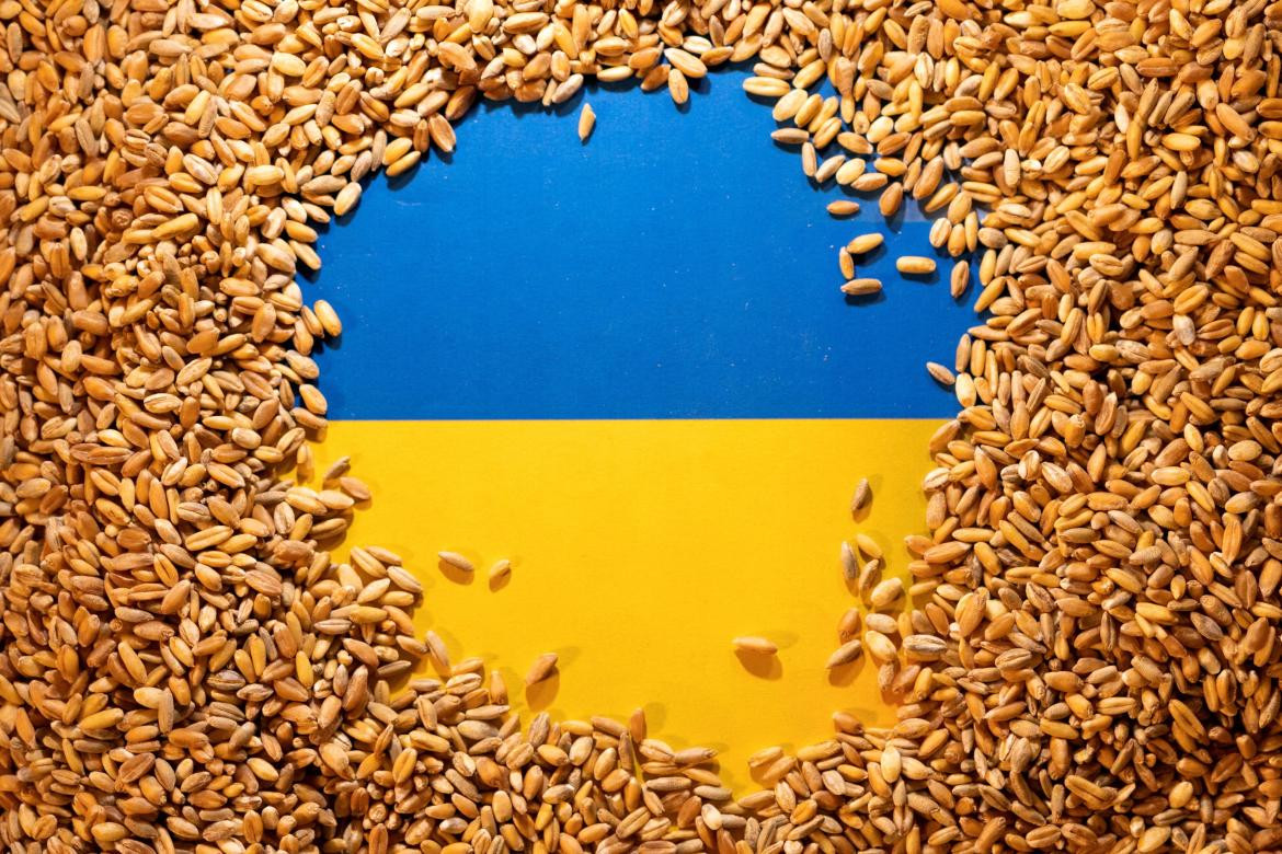 Bandera de Ucrania cubierta de grano de cereales. Foto: Reuters.
