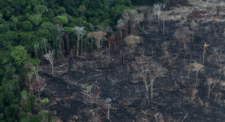 Amazonia ecuatoriana. Foto: Reuters
