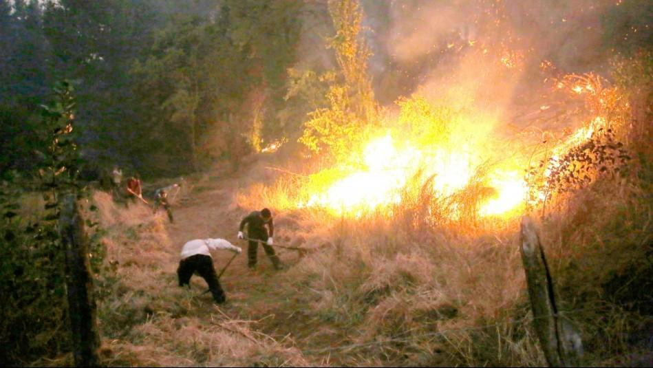Incendios en La Araucania, en el sur de Chile.