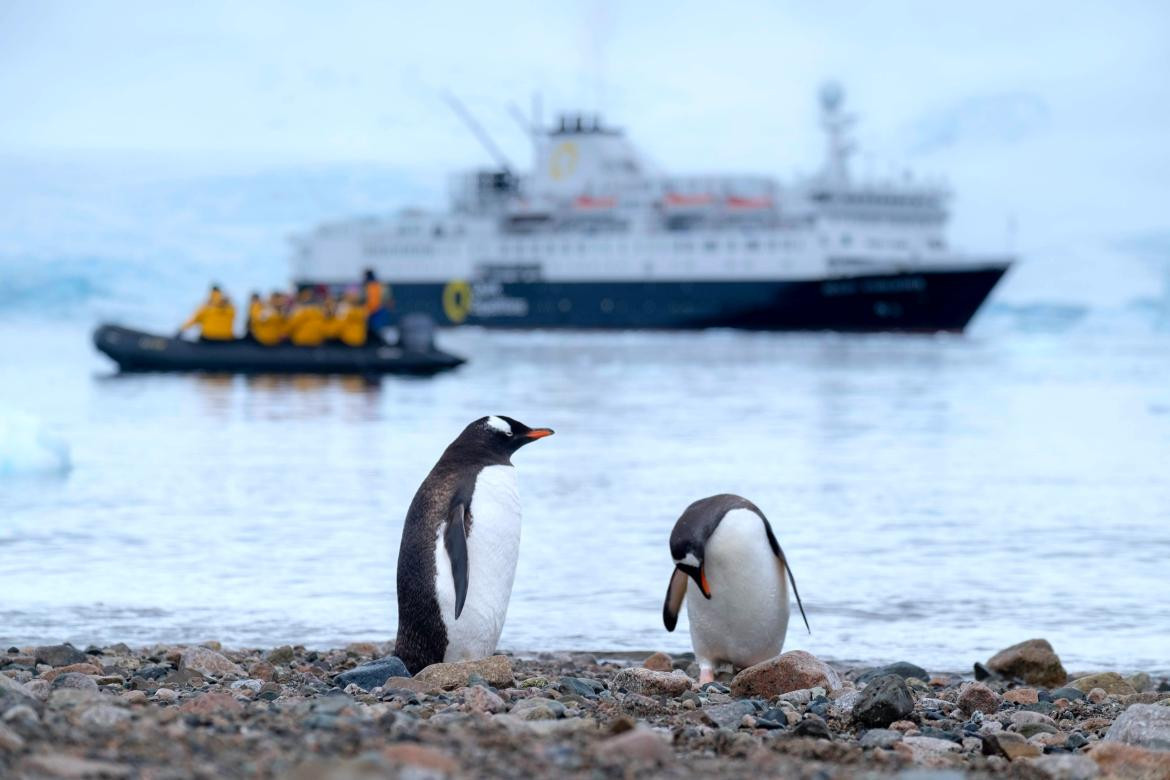 Bote a las orillas de la Isla Danco en la Antártida. Foto: Unsplash