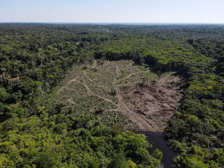 Deforestación en la selva amazónica en Manaos. Foto: Reuters