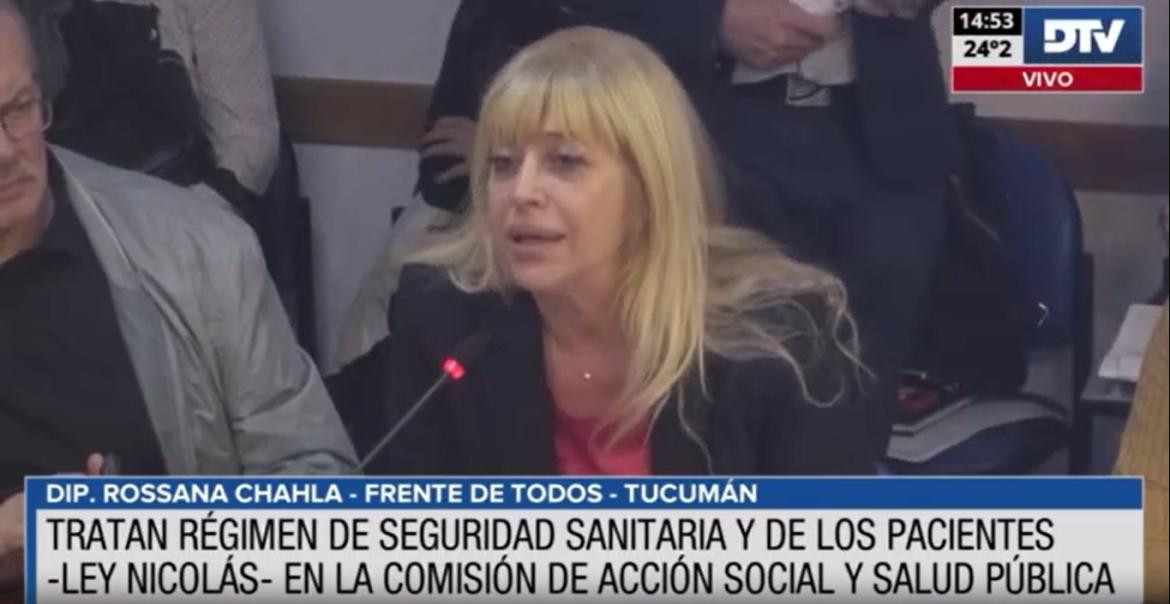 Avanzó el proyecto sobre seguridad del paciente y la iniciativa que regula la actividad del acompañante terapéutico. Foto: Captura de pantalla.