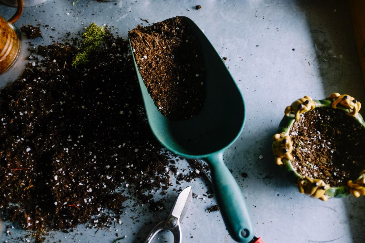 Compost listo para usarse. Foto: Unsplash