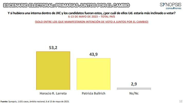 Datos de la encuesta de Synopsis sobre las Elecciones 2023. Foto: Synopsis.