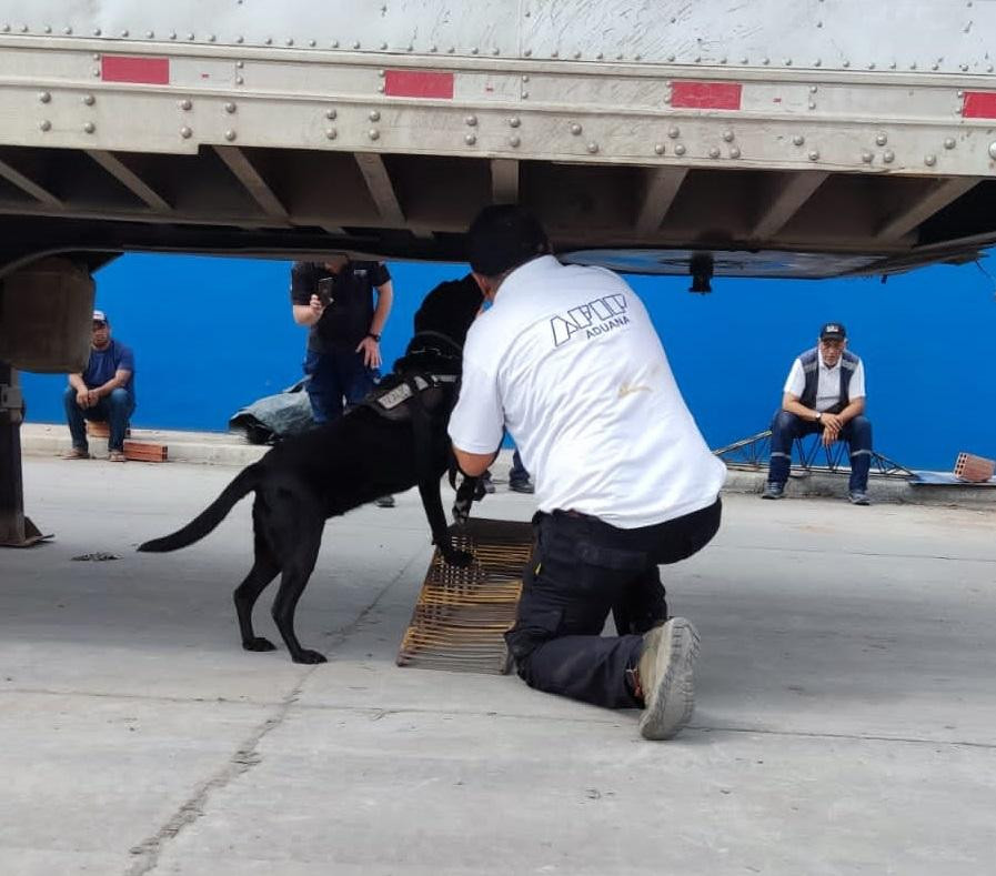 Operativo de Aduana por cocaína. Foto: Aduana.