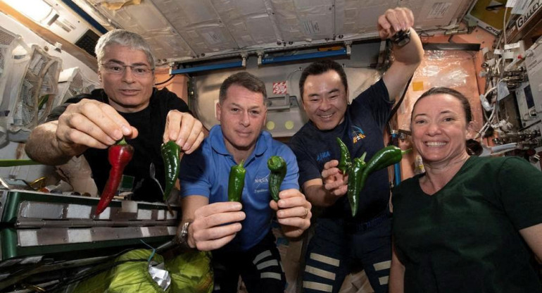 Menú para astronautas, NASA. Foto: Reuters.