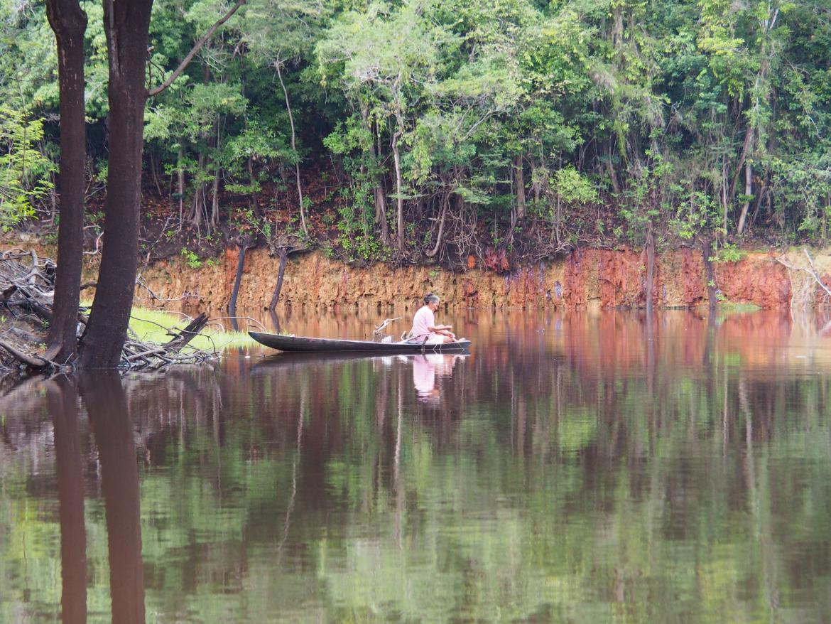 Rio Amazonas. Foto: Unplash