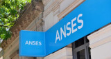 ANSES. Foto: NA.