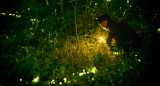 Las atracciones turísticas de luciérnagas tienen lugar en varias partes del mundo donde los insectos son especialmente prolíficos, con el fin de que las personas disfruten de la vasta cantidad de luces. Fuente: Unsplash.