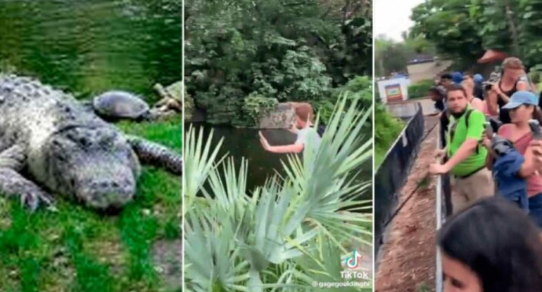 Hombre detenido por saltar al estanque de caimanes en zoológico de Florida.