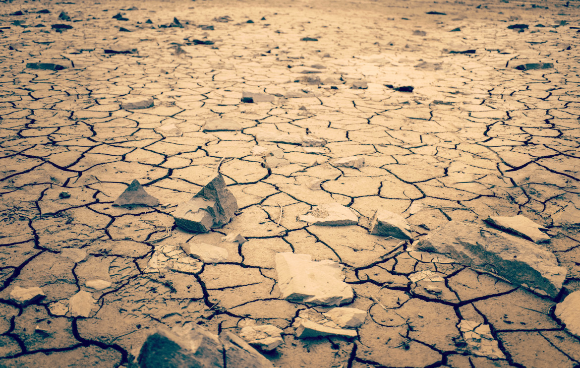 Contaminación, suelo. Foto: Unsplsh