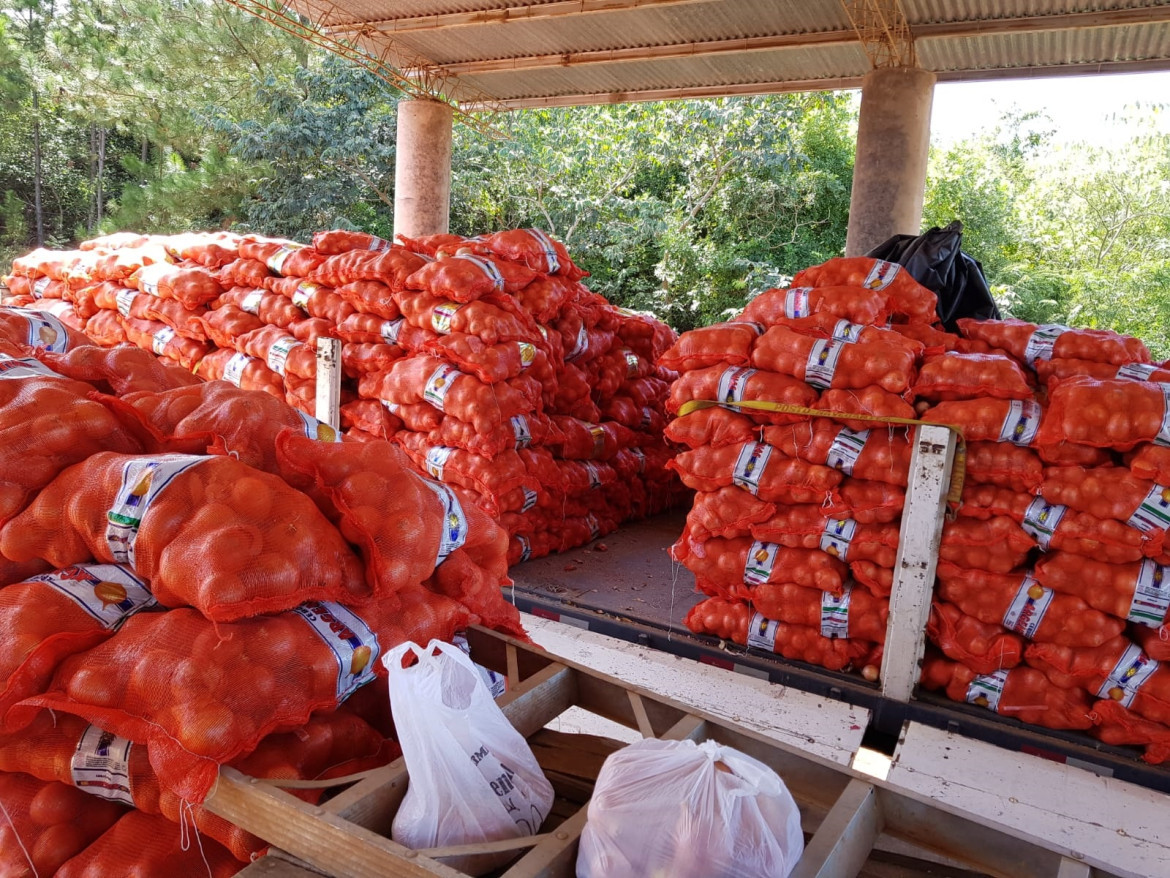 Operativo por exportación de cebollas. Foto: Aduana.