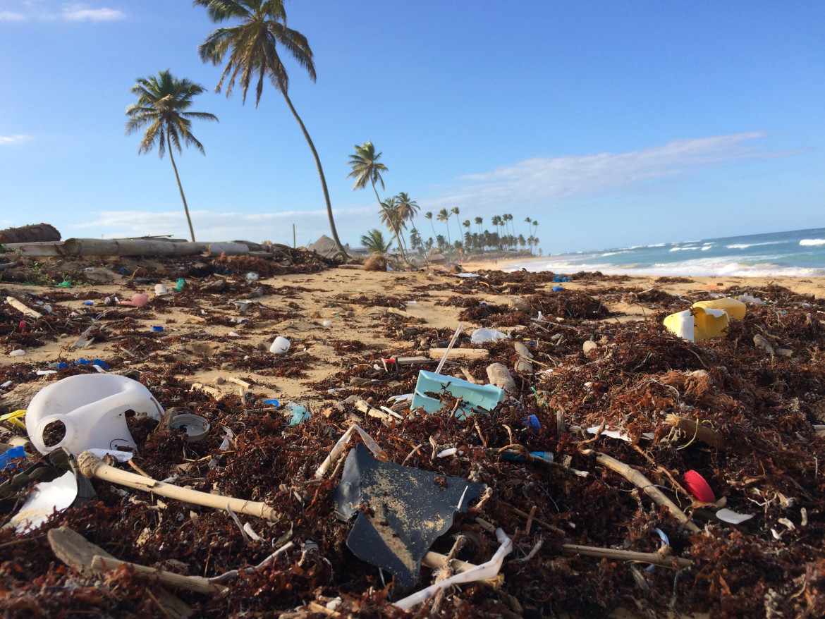 Costa del Caribe poblada de plásticos. Foto: Unsplash
