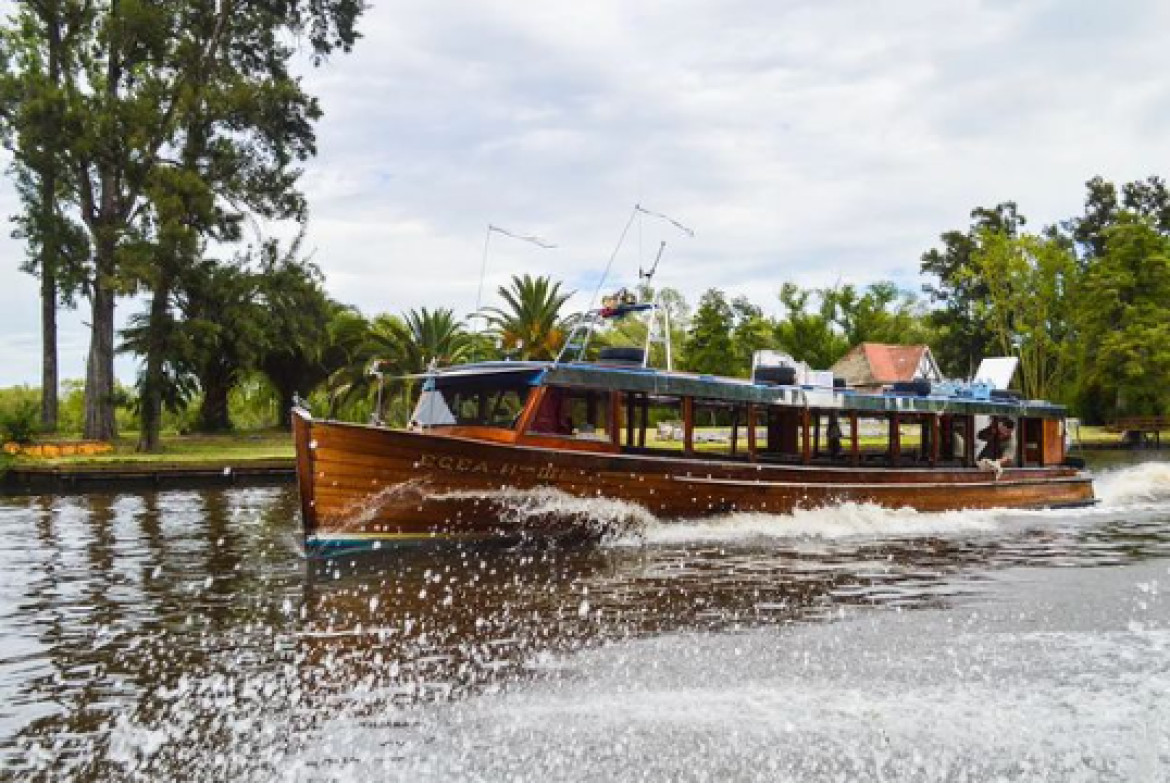 Tigre. Foto: @turismotigre