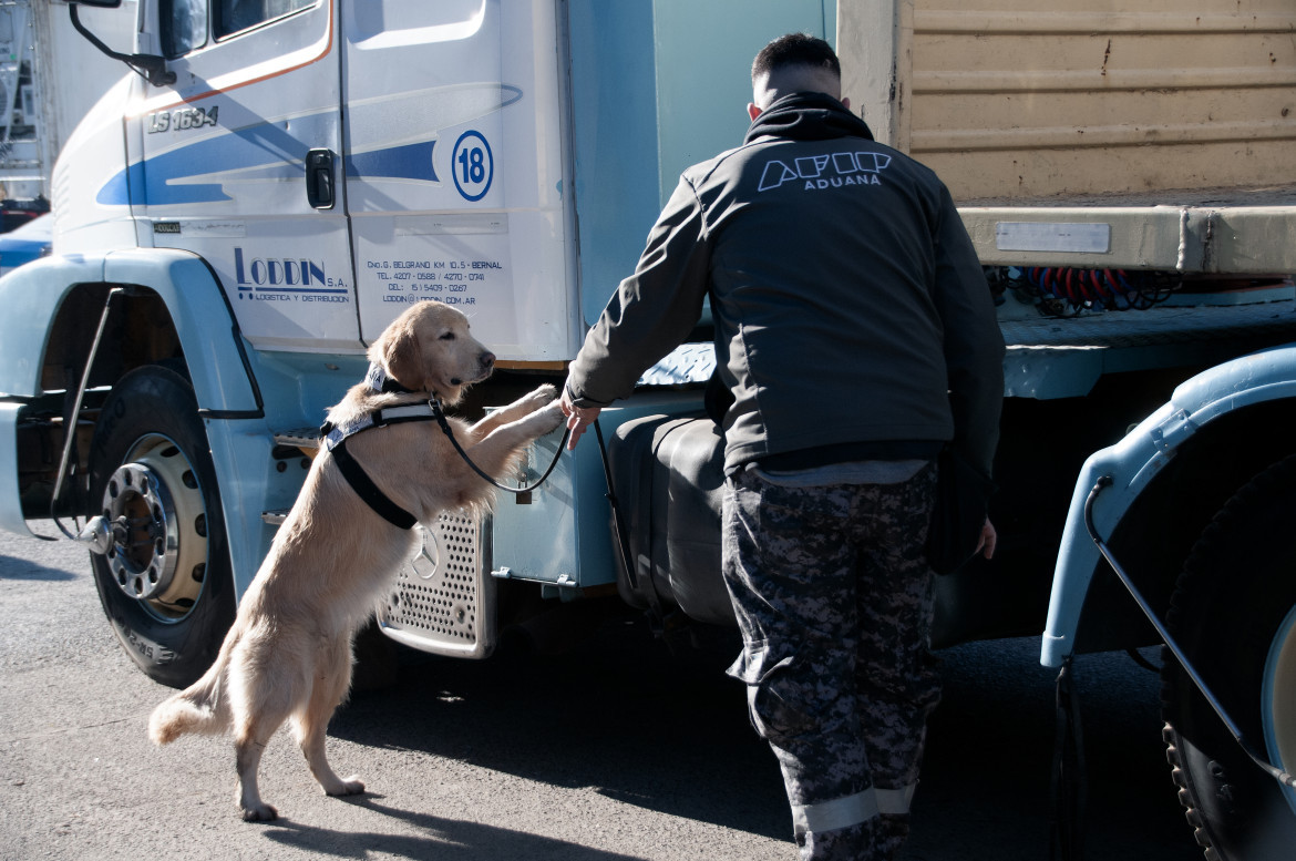 Agricultura y Aduana secuestraron 430 toneladas de carne