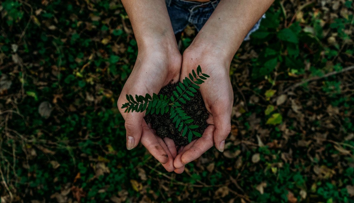 Medio ambiente. Foto: Unsplash.