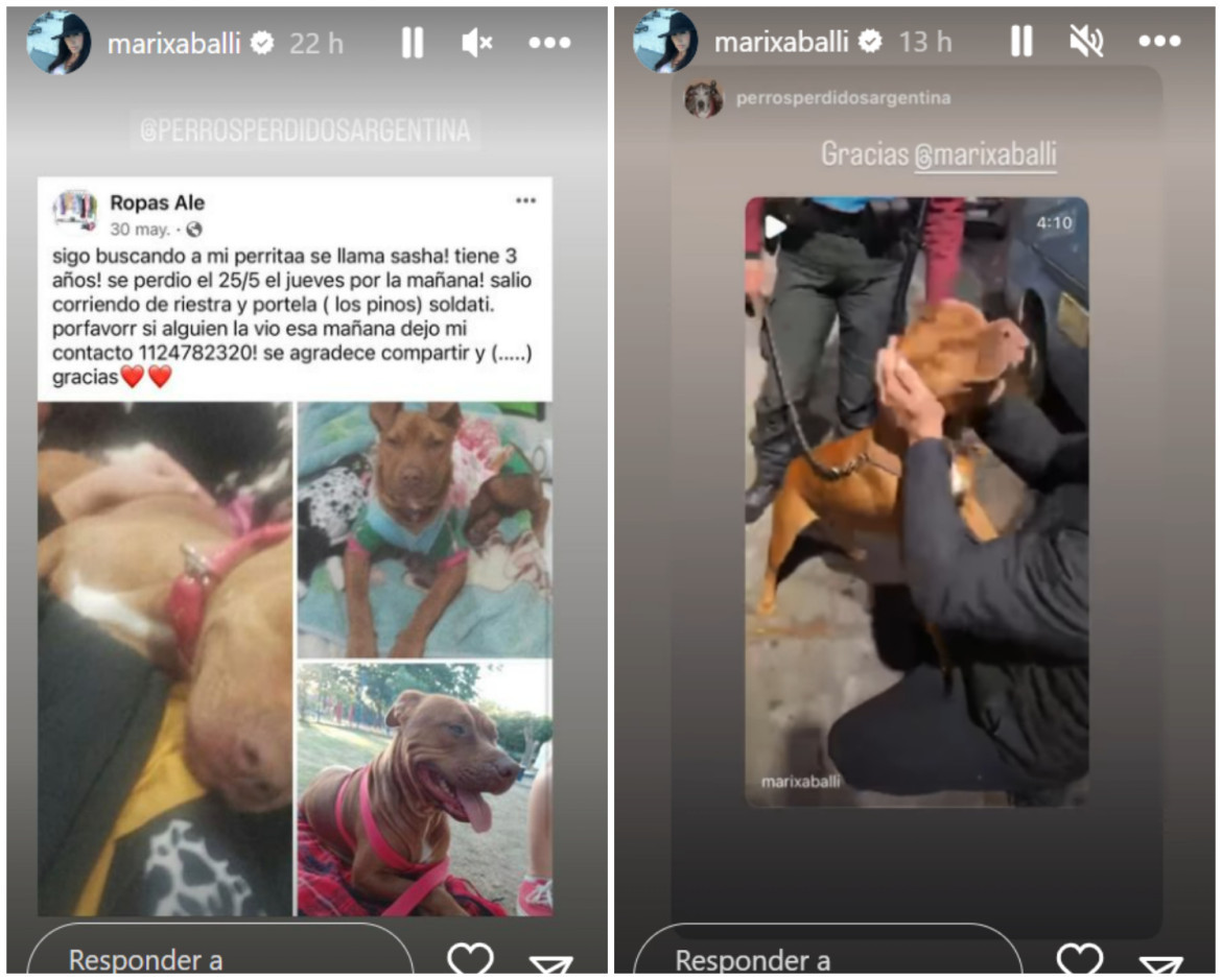 Marixa encontró y rescató a la perrita. Fotos: Instagram.